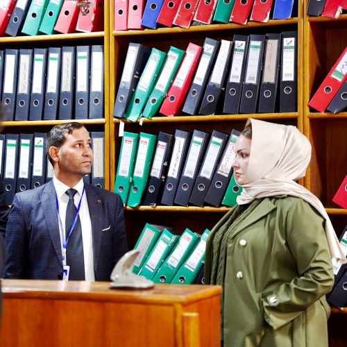 لجنة الاعتماد المؤسسي تزور كلية اللغات لتقييم الأداء الأكاديمي والإداري (10)