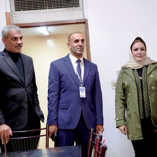 لجنة الاعتماد المؤسسي تزور كلية اللغات لتقييم الأداء الأكاديمي والإداري (13)