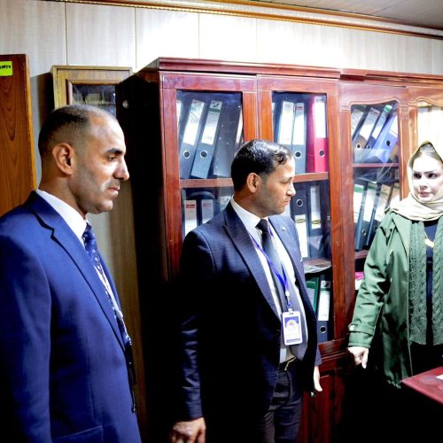 لجنة الاعتماد المؤسسي تزور كلية اللغات لتقييم الأداء الأكاديمي والإداري (18)