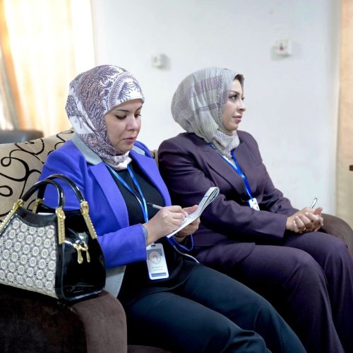 لجنة الاعتماد المؤسسي تزور كلية اللغات لتقييم الأداء الأكاديمي والإداري (29)